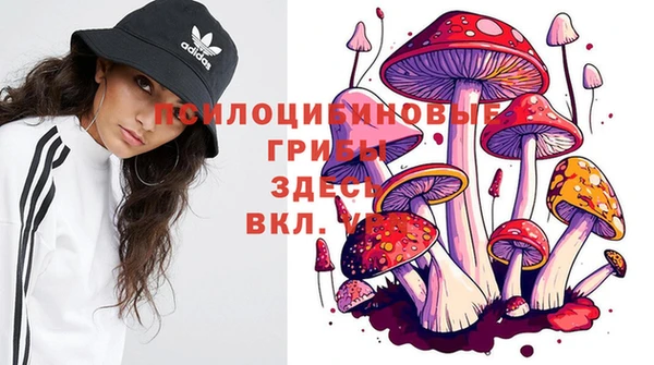 метадон Абаза