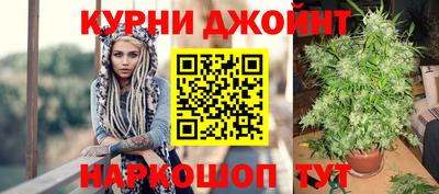 прущие грибы Краснознаменск