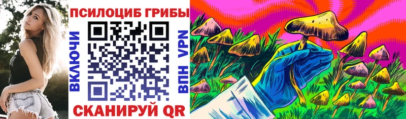 Галлюциногенные грибы мицелий  хочу наркоту  Железноводск 
