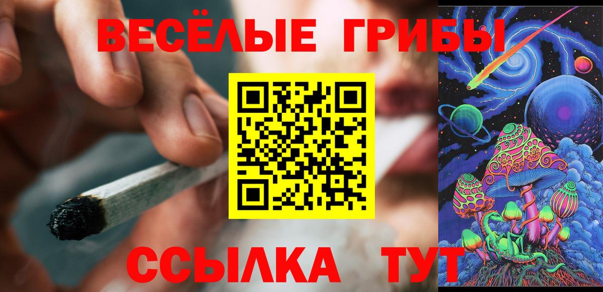 Галлюциногенные грибы Magic Shrooms Железноводск